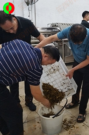 客戶來廠測試驗(yàn)貨果蔬清洗加工設(shè)備！